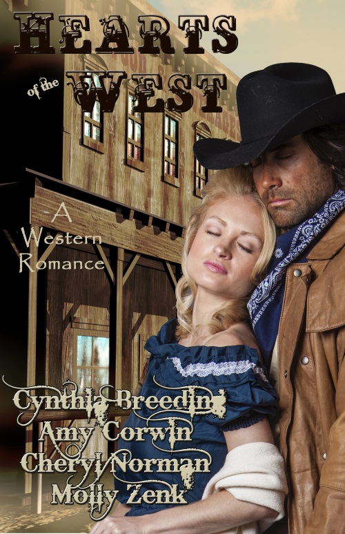 The Lady and The Cowboy
